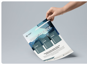 Pricing Business Flyer