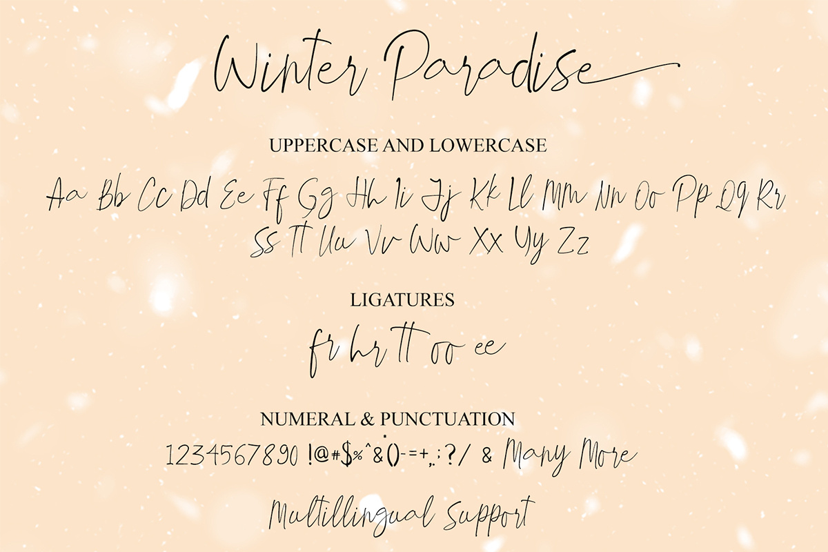 免费演示冬日天堂书法字体(Free Demo Winter Paradise Script Font)插图9