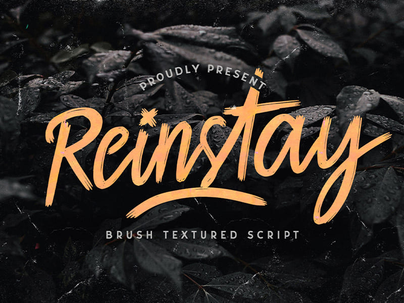 Reinstay - Brush Textured Script Font by Stringlabscreative ~ EpicPxls