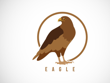 Eagle bird in a circle. Eagle bird logo design template vector illustration