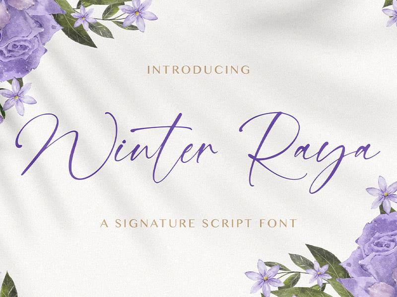 Winter Raya – Signature Font by Stringlabscreative ~ EpicPxls