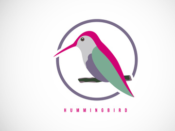 Hummingbird in a circle. Hummingbird logo design template vector illustration