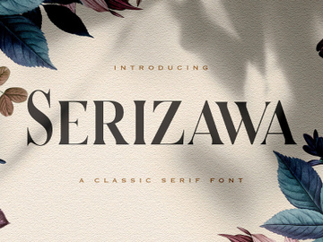 Serizawa - Classic Serif Font