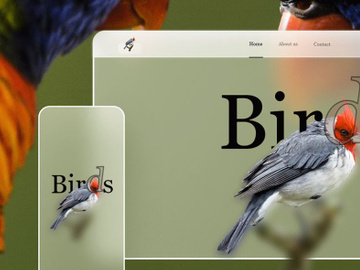 Birds Website Design-Free Glassmorphism-Responsive