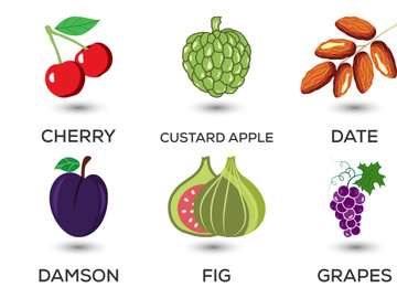 Set of fruits. Different colorful fruits. Fresh food, healthy eating concept. Vector illustration