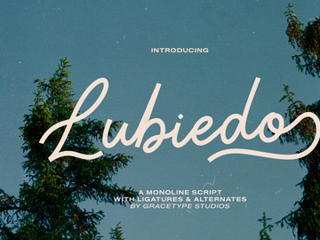 Lubiedo | Monoline Script