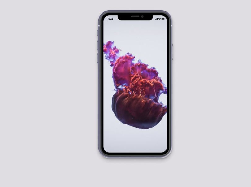 免费的iPhone Figma模拟图(Free iPhone Figma Mockup)插图1