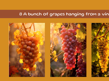 A bunch of grapes hanging from a wine