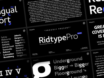 Ridtype Pro - Font Family