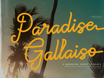 Paradise Gallaiso | Monoline Script Typeface