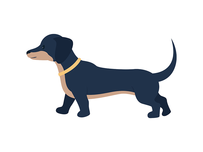 adopting-dachshund-dog-semi-flat-color-vector-character-by-epicpxls