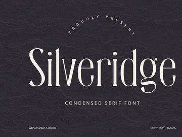 Silveridge - Serif Font