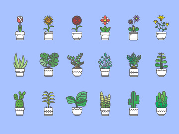 Indor Flower Vector Illustration