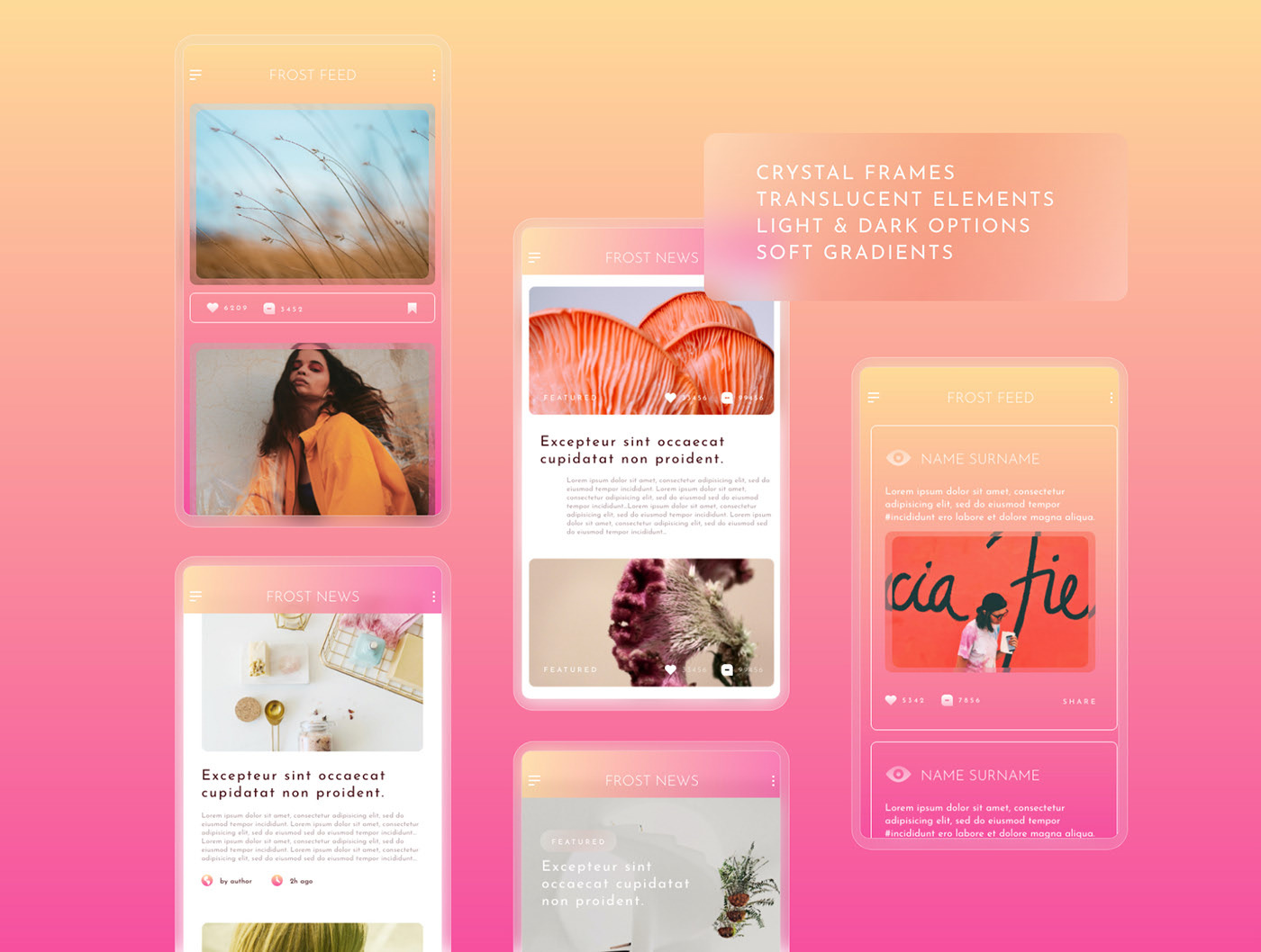 Glass Frost Feed UI Kit 01 - Demo Gratis