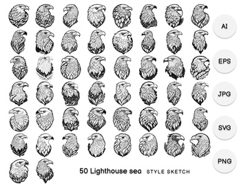 Eagle Animal Element Black