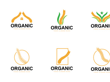 Wheat Rice Logo Vector Design