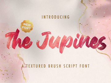 The Junipes - Textured Brush Font