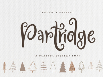 Partridge - Playful Font