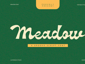 Meadow - Groove Script Font