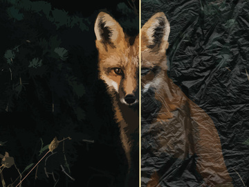 10 Free Plastic Bag Textures