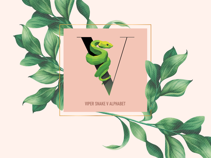 Template logo letters with animals set vector logotype.