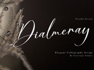 Dialmeray | Elegant Calligraphy Script