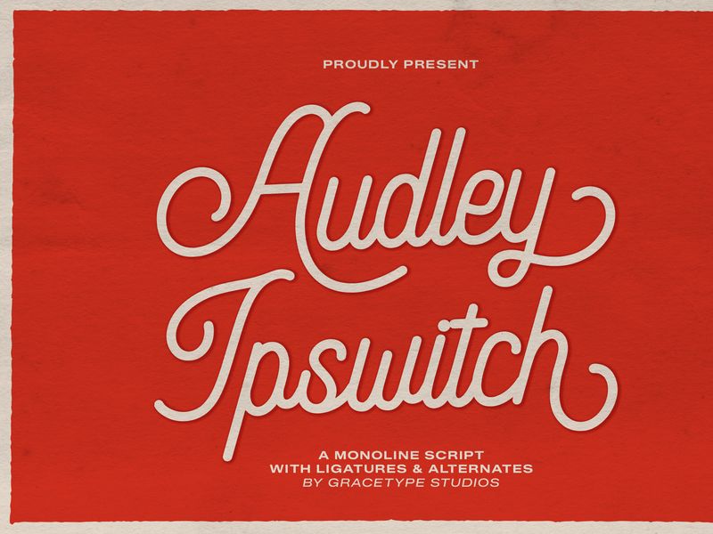 Audley Ipswitch | Monoline Script by Gracetypestudio ~ EpicPxls