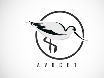 Avocet bird in a circle. Avocet bird logo design template vector illustration